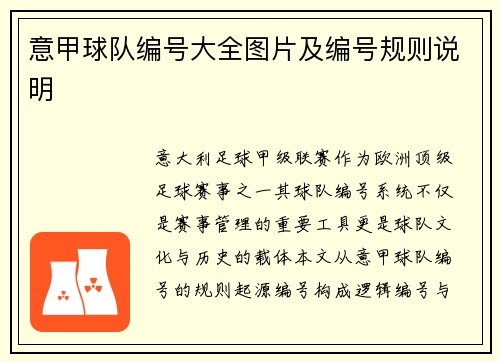 意甲球队编号大全图片及编号规则说明