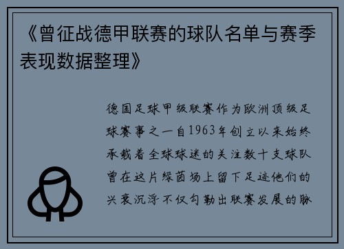 《曾征战德甲联赛的球队名单与赛季表现数据整理》